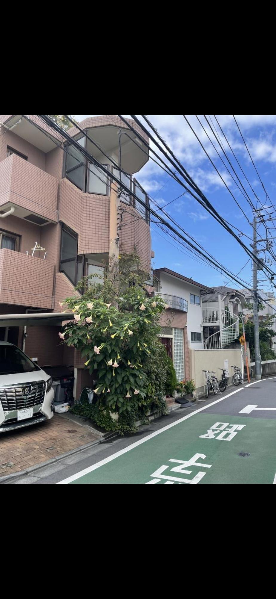 新宿安靜の家-A Quiet Home In Shinjuku - A 26 Square Meter Double Bed Room That Feels Like Home Präfektur Tokio Exterior foto